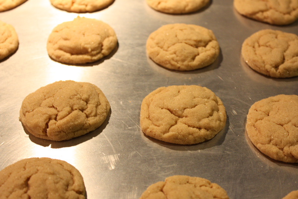 Cookies Soft chewy  Home  Peanut cookies  to Cook    butter Everyday Chewy & Everyday Butter  peanut how make