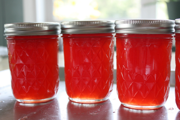 Sandhill Plum Jelly - Everyday Home Cook